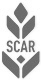 scar NB