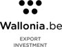 Wallonia-Export-Investment-0-1