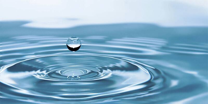 Certif Project et Change - Content card image