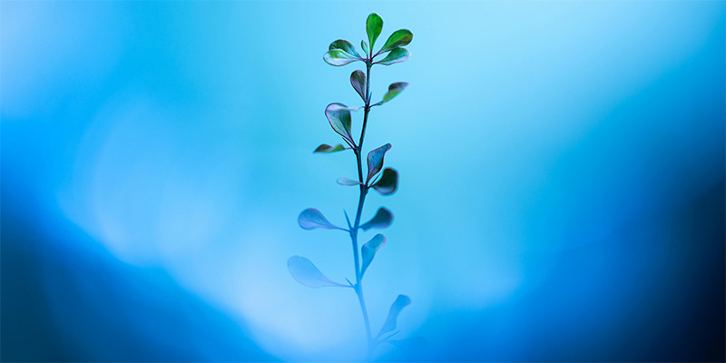 L'humain au centre des projets de changement