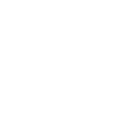 OpenBorderMBA LogoWhite