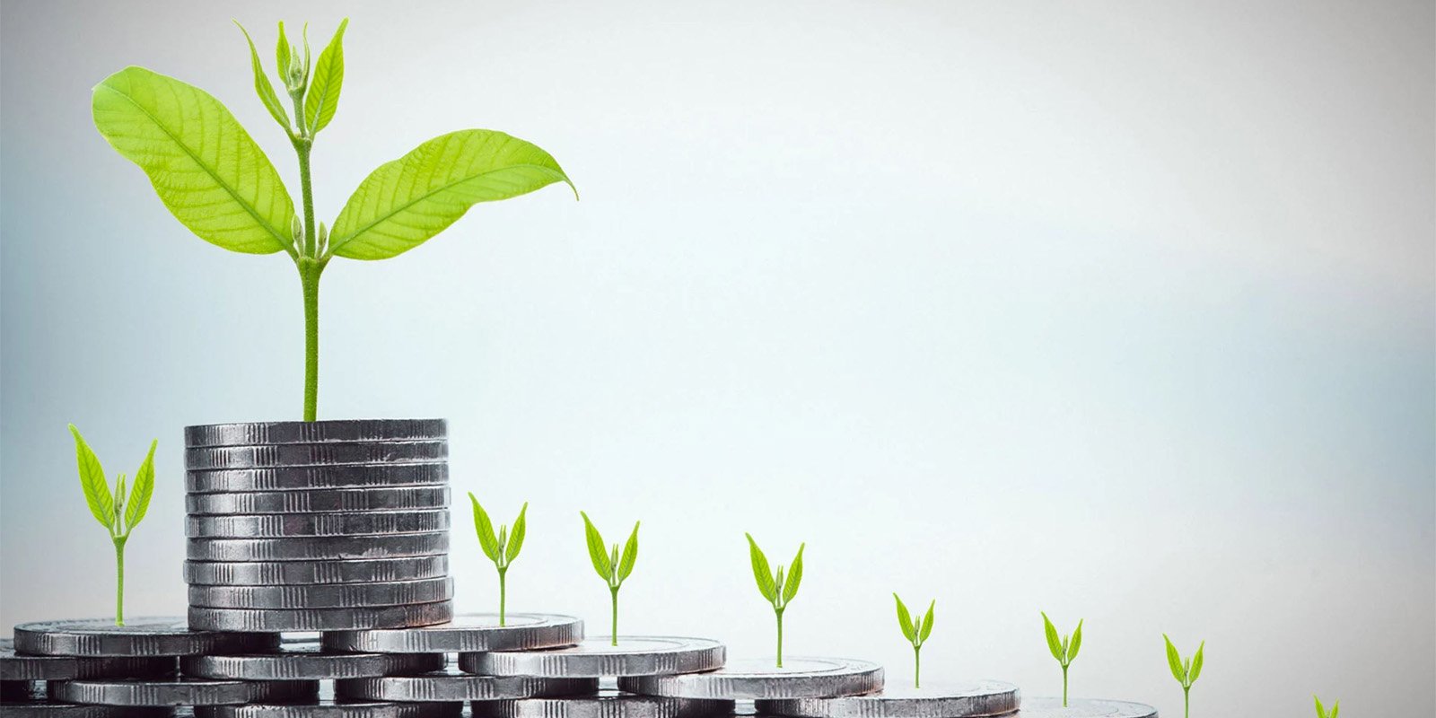 University Certificate in Private Equity