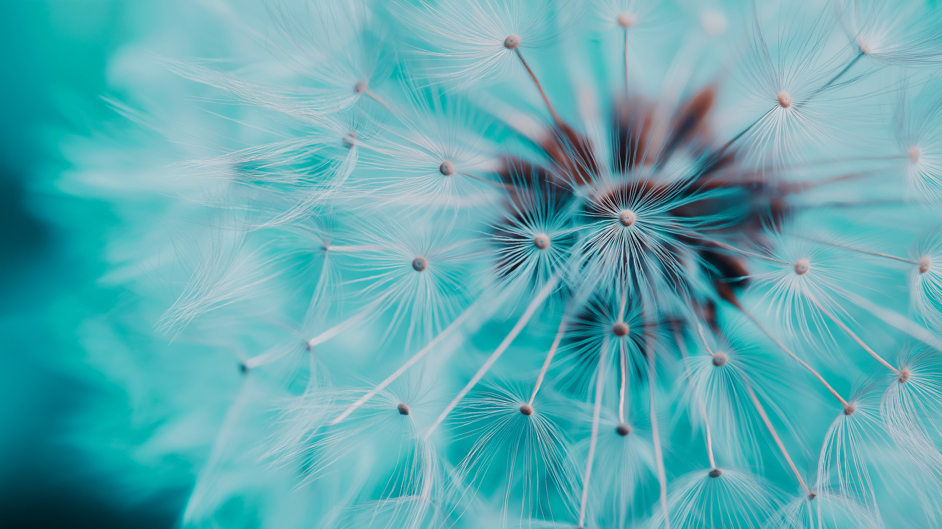 certificat-specialisation-management-avance-image-header